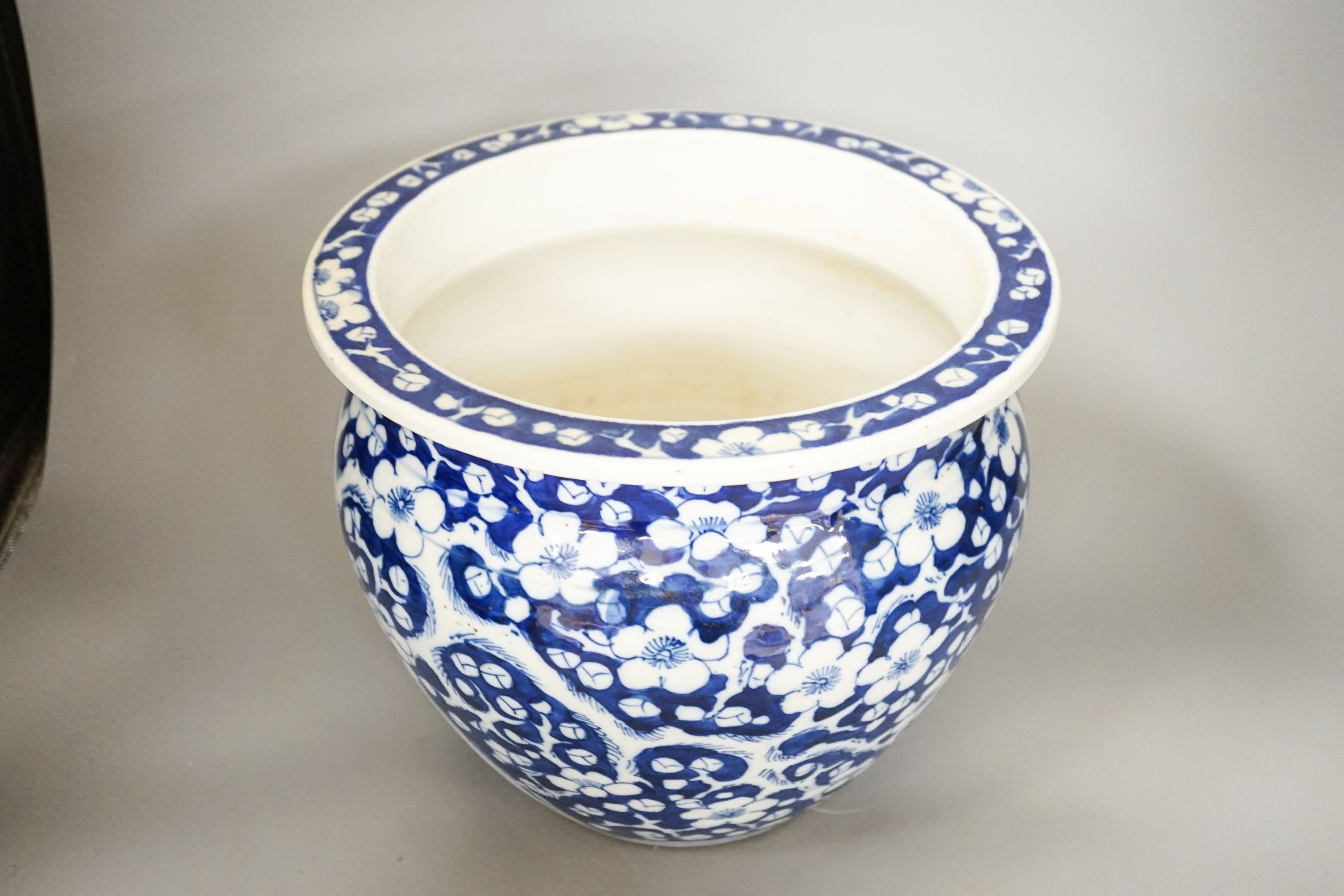 Two 19th century Chinese porcelain fish bowls, largest 26.5 cm diameter